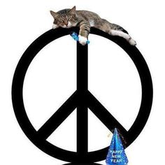 peace cat.jpg